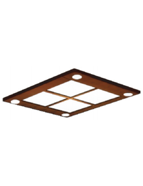 Ceiling Series SX-D05