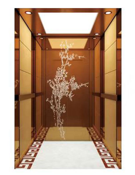 Disinfection MR passenger elevator Standard Configure RLS-2020-10 (Side and rear walls)